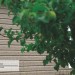 Сайдинг Ю-Пласт TIMBERBLOCK Пихта (Тимберблок) Cахалинская купить в Копейске