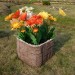 Цветник КАНЬОН купить в Копейске
