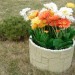 Цветник КАНЬОН купить в Копейске