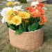 Цветник КАНЬОН купить в Копейске